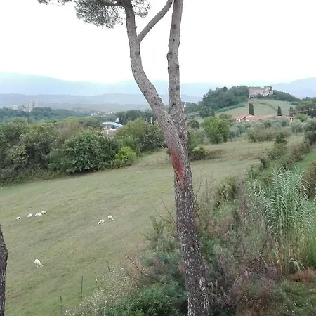 Bed & Breakfast Bell'orizzonte *